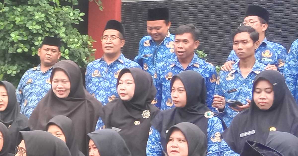 Pppk Daerah
